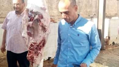 FB IMG 1688053147722