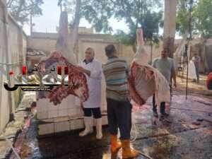 FB IMG 1688053181769