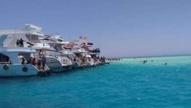 FB IMG 1688053734080