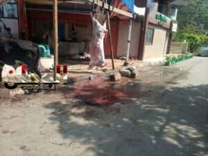 تنسيق بين صحة الشرقية ورئاسة مركز ومدينة الزقازيق يسفر عن ضبط محلات الجزار المخالفة 2 IMG 20230628 WA0718