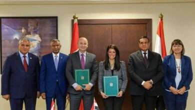 361617548 6839324536092084 870821707765318345 n