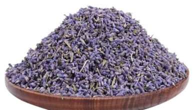 FB IMG 1689003426413