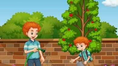 سلوى النجار/تكتب بين التوكل على الله والتواكل فرق كبير. 