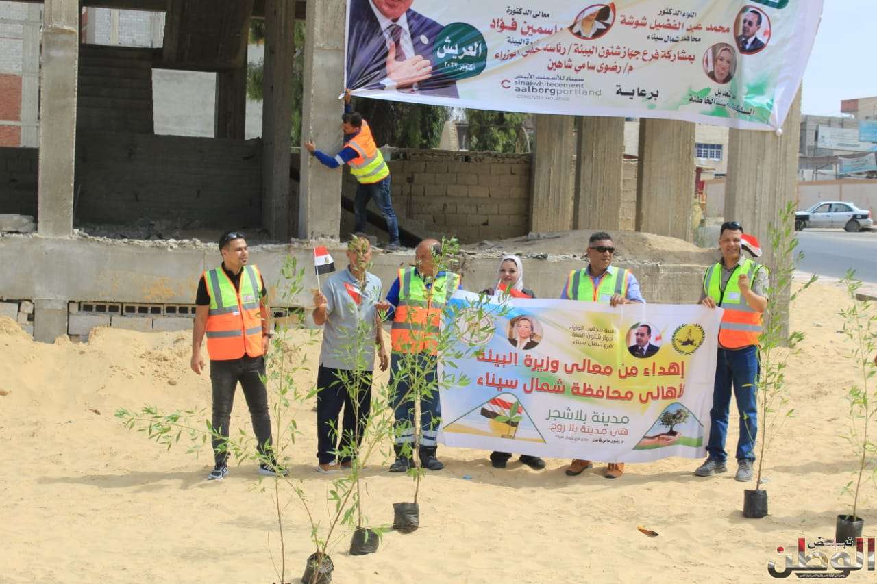 غرس شتلات زيتون في مدينة العريش 1 WhatsApp Image 2023 10 04 at 09.25.47 7ef83abb