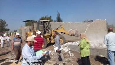 FB IMG 1699285033248