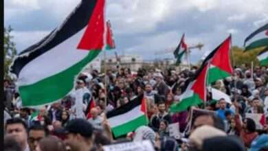 FB IMG 1700236793231