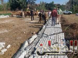 استمرار إزالة التعديات على الاراضي الزراعيه بقرى محلة يادى - ابو مندور - شباس الملح بمركز دسوق 5 FB IMG 1700309804719