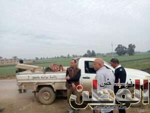 ازالة 10 حالات بمساحة 7 قيراط 6 سهم بقرى دسوق بكفر الشيخ 2 FB IMG 1700927367209