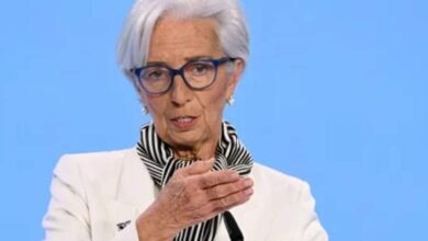 FB IMG 1706196128031