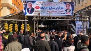 WhatsApp Image 2024 02 19 at 13.48.54 2241986a