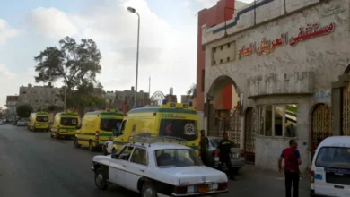 281e66d606f6b370fac1e2a1fdac0d7e 780x470 1