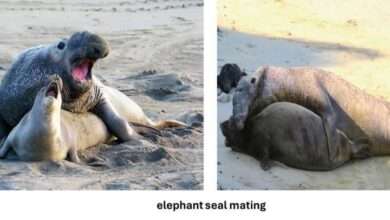 FB IMG 1709314200912