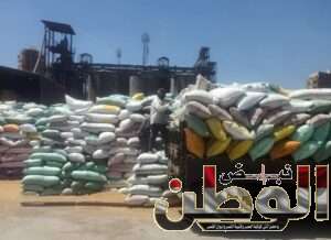 FB IMG 1713800964102