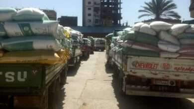 FB IMG 1714300232053