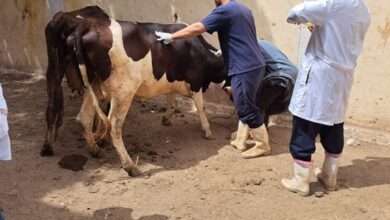 FB IMG 1714300750319