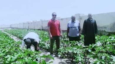 FB IMG 1714678589872