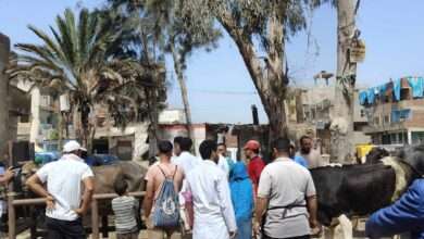 FB IMG 1714842176620