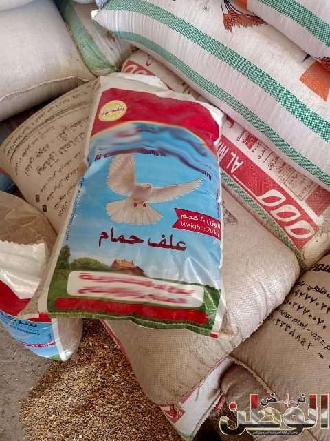 ضبط 167 شيكارة أعلاف مخلوطة بالقمح المحلي داخل مدشة أعلاف بمركز فاقوس 1 FB IMG 1715248640338