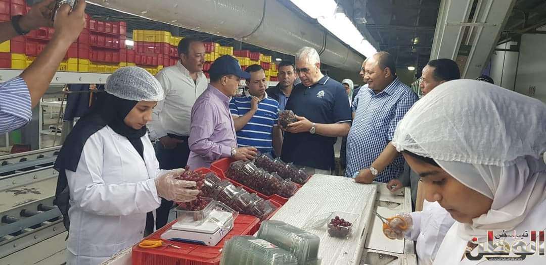 وزير الزراعة يتفقد احدى محطات ومزارع التصدير بالنوبارية 1 FB IMG 1716812146577