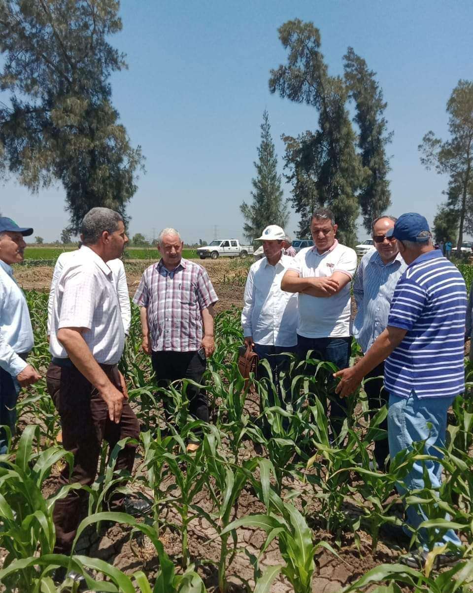 رئيس البحوث الزراعية يتفقد محطة الجميزة.. ومهندسو الحجر الزراعي في الموانئ والمنافذ 1 FB IMG 1718631912655