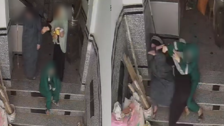 النيابة العامة تصدر قرارا جديدا بشأن الزوجة المتهمة بسحل حماتها في الشرقية 1 66a55ff24c59b768fd3e2a75