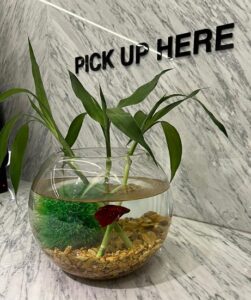 مستفيدي جمعية كيان يتحدثون عن مشاريعهم والجمعية تفتخر بهم وتشد على أياديهم 10 IMG 20240728 WA0019