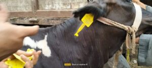 جامعة كفر الشيخ .. تطلق قافلة طبية شاملة لقرية تيدة 10 FB IMG 1726585804740