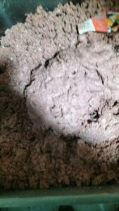 FB IMG 1756150504577