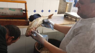 حملة تموينية مسائية أثناء احتفالات مولد العارف بالله ابراهيم الدسوقي