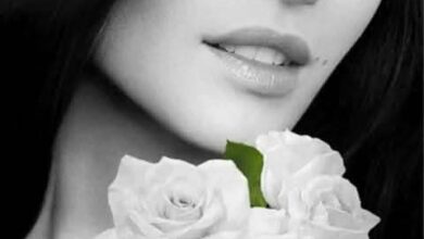 FB IMG 1761417761801