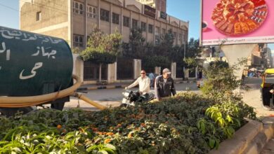 مدينة دسوق .. تتزين استعدادا لليلة الختامية لمولد القطب الإبراهيمي