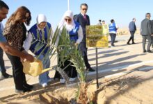 dc0e25aa c294 48e9 81aa ab6789d06255