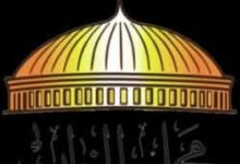 مع بداية السباق الانتخابى لمجلس النواب كيف تختار من يمثلك