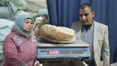 تحرير 8 محاضر متنوعة لعدد من المخابز بنطاق مركز ومدينة دسوق 6 تحرير 8 محاضر متنوعة لعدد من المخابز بنطاق مركز ومدينة دسوق