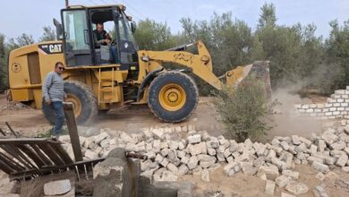 تنفيذ إزالة لـ ٢٠ حالة تعدٍّ على مساحة ٤٧ فدان و١٨ قراريط وسهم واحد و٧٦٠ م٢ بمركز ومدينة القصاصين