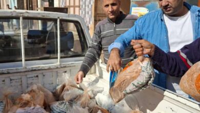 حملات تموينية موسعة بمراكز ومدن كفر الشيخ