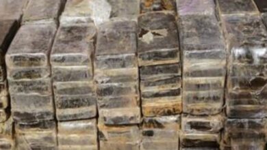 FB IMG 1764789384050