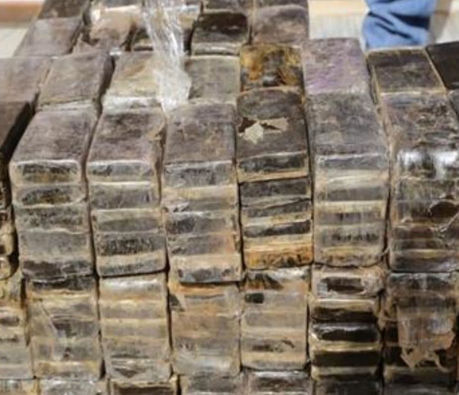 FB IMG 1764789384050