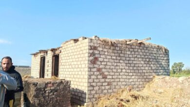 إزالة مبنى مخالف على أرض زراعية بائتمان كفر الطايفة بقرية متبول بكفر الشيخ 3 إزالة مبنى مخالف على أرض زراعية بائتمان كفر الطايفة بقرية متبول بكفر الشيخ