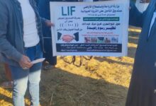 FB IMG 1766156364424