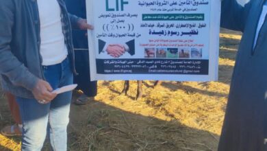 FB IMG 1766156364424