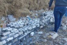 عيسى ..  إزالة سور مخالف على أرض زراعية بقرية محلة القصب بكفرالشيخ 