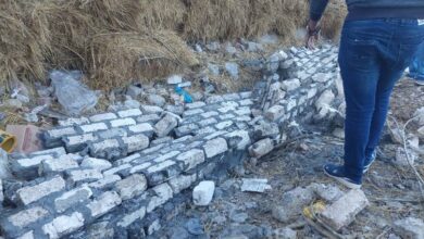 عيسى ..  إزالة سور مخالف على أرض زراعية بقرية محلة القصب بكفرالشيخ 