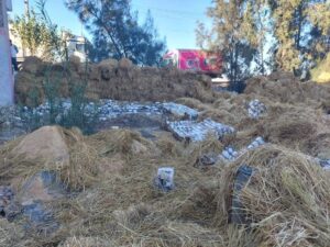 FB IMG 1766223744446