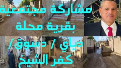 المشاركة المجتمعية بالقرى ودورها الفعال في النهوض بالمجتمع الريفي ( محلة دياي )