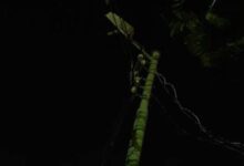 أهالي قرية جنبواى يناشدون محافظ البحيرة ورئيس مدينة إيتاي البارود لحل مشكلة الإنارة العامة بالشوارع