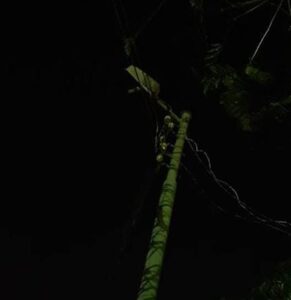 أهالي قرية جنبواى يناشدون محافظ البحيرة ورئيس مدينة إيتاي البارود لحل مشكلة الإنارة العامة بالشوارع