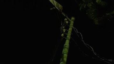 أهالي قرية جنبواى يناشدون محافظ البحيرة ورئيس مدينة إيتاي البارود لحل مشكلة الإنارة العامة بالشوارع