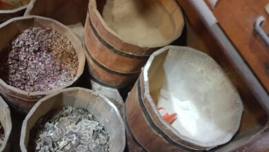 IMG 20260120 WA0031 1