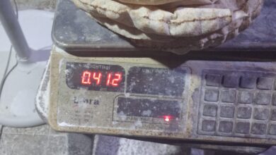 حملات تموينية مكثفة بكفر الشيخ تسفر عن تحرير 85 محضراً للمخابز وأخرى متنوعة